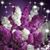 Carolyn Critchley Ewanko's profile image