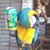 Phillip Perkins's profile image