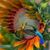 Diana Bentley's profile image