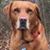 Dudley Auge's profile image