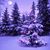 Denise Delp's profile image
