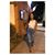 Ann Momani's profile image