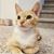 Aster Guan's profile image