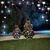 Ericka Lehrer's profile image