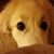 Lori Malaspina's profile image