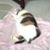 Sally Wien's profile image