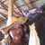 Pam Kearns's profile image
