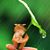 Geraldine Cole's profile image