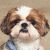 Ben Burr's profile image
