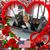 Joyce Fineberg's profile image