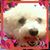 Jane Vigliotti Prieto's profile image