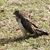 Pauland Nicki Tiffany's profile image