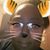 Cilly Thompson's profile image