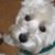 Linda Fox's profile image