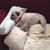 Sue Chaffin Hopkins's profile image