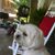 Anita Purdy Wallace's profile image
