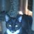 Karen Blackaria's profile image