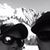 Chris Boutin's profile image