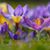 Natalie Panchuk's profile image