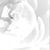 Lilac Violet's profile image
