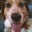 Royce Kilbourn's profile image