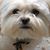 Schotzee LaHermosa's profile image