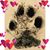 Lisa Penza's profile image