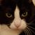 Pamela Adams's profile image