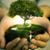 Caryn MacLuan's profile image