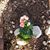 Dianna Sandlin's profile image