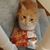 Janine Cress Johns's profile image