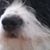 Luke Knudson's profile image