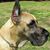 Patti Huderwitz's profile image