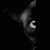 Brandy Cameron's profile image