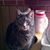 James J Cwynar's profile image