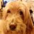 Jeanne Hawtin's profile image