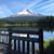 Dorothy Laursen Gutfleisch's profile image