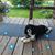 Kathy Updike's profile image