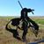 John Foulkes's profile image