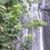 Nona Marie Lightner's profile image