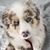 Sheri Allison's profile image