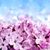 Brenda Boyer Stout's profile image
