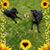 Cindy L Burke's profile image