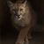 Saundra White's profile image