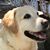 Dave Willheim's profile image