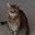 Matt Settle's profile image