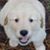 Linda Mattson's profile image