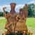 Loreli Wood's profile image