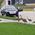 Diane Supak Praxl's profile image
