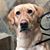 Bill Mabey's profile image
